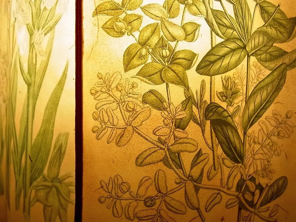 Hotel Cestelli Florence