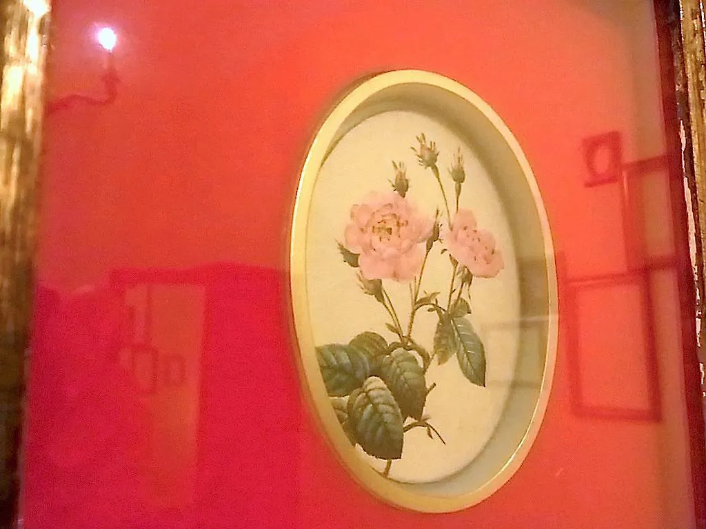 Hotel Cestelli Florence Italy