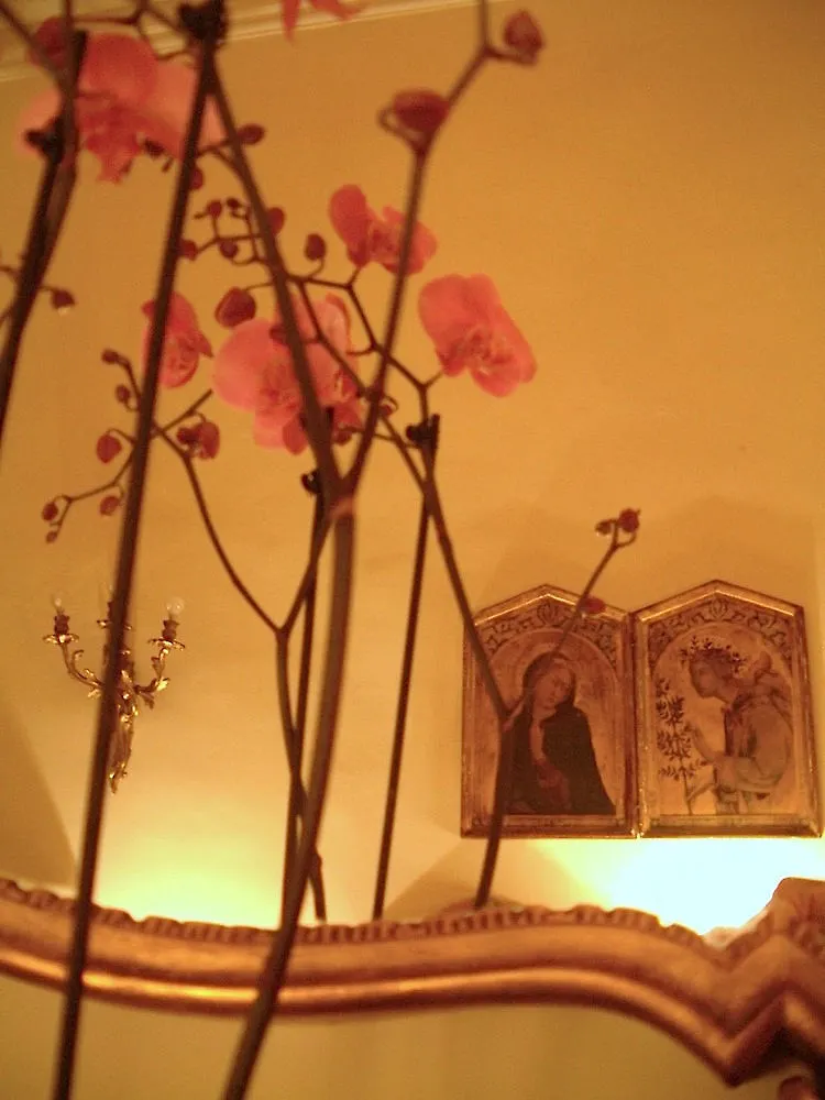 Hotel Cestelli Florence Italy